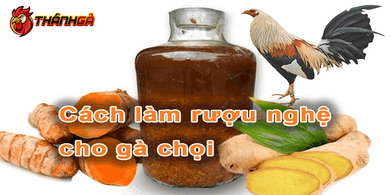 Công thức om bóp gà chọi chuẩn từ sư kê hàng đầu