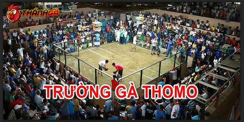 Những điều cần biết về các trận đấu tại Thomo